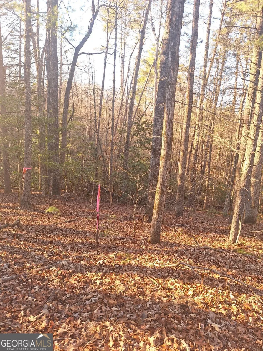 0 Bent Wood LN Blue Ridge, GA 30513