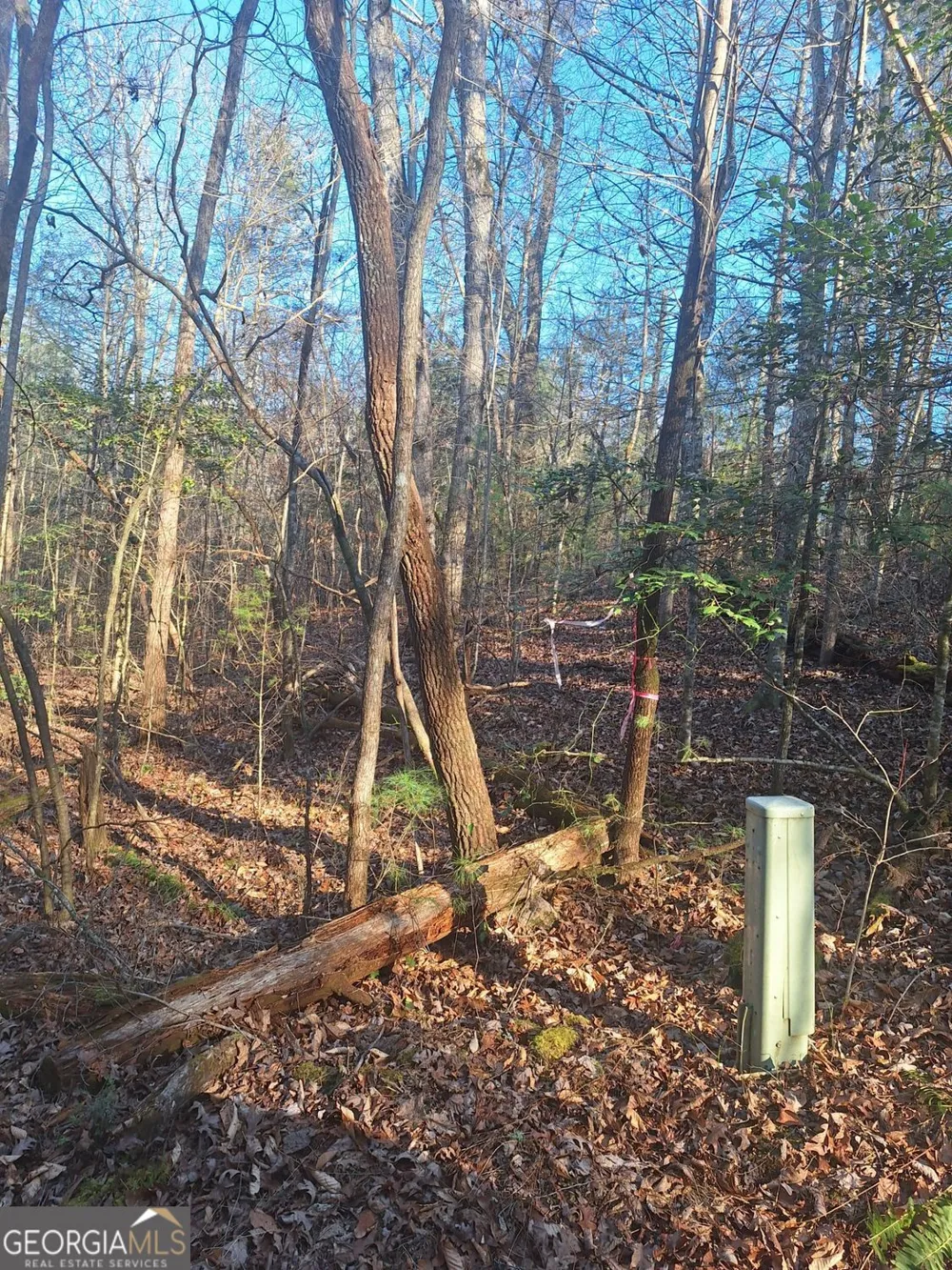 0 Bent Wood LN Blue Ridge, GA 30513