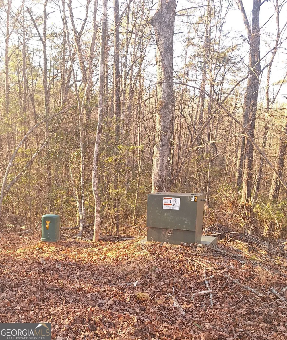 0 Bent Wood LN Blue Ridge, GA 30513
