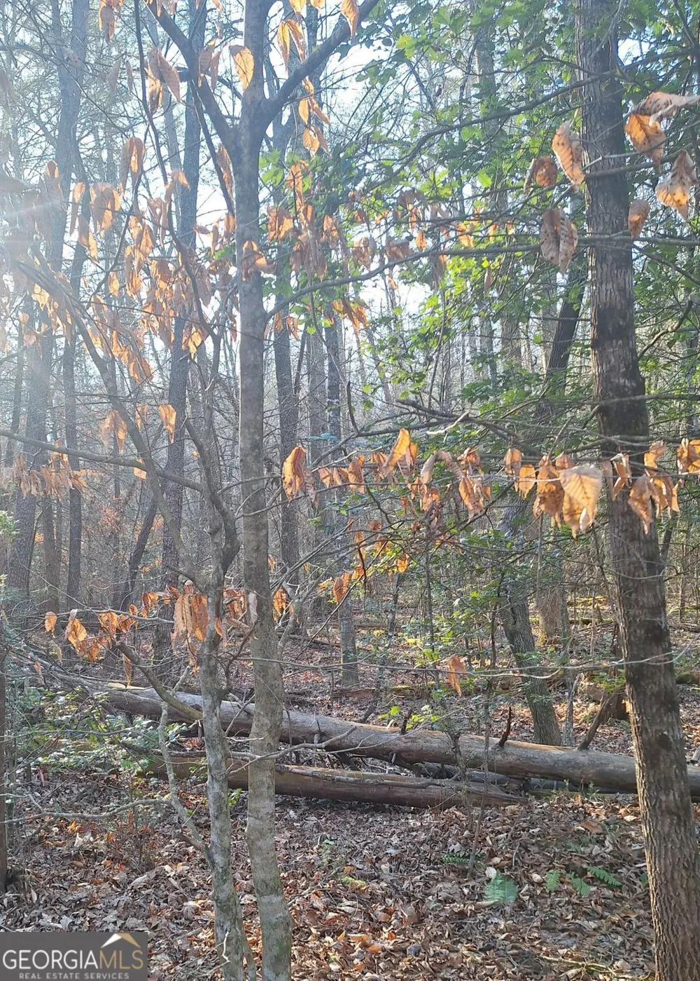 LOTS 15A 16A 17 Mill Creek Acres LN Blue Ridge, GA 30513