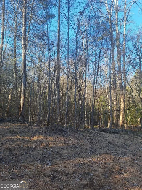 LOTS 15A 16A 17 Mill Creek Acres LN