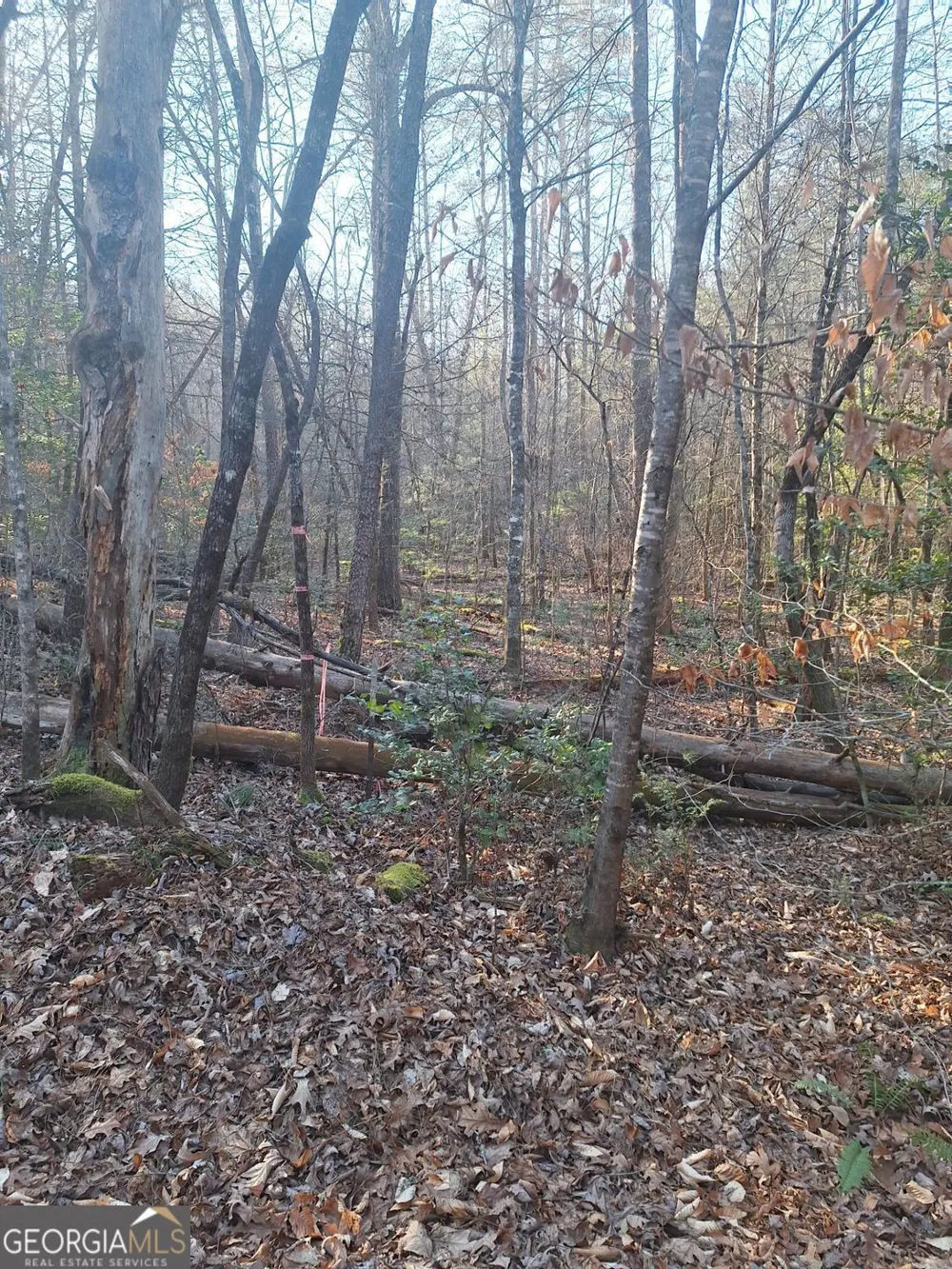 LOTS 15A 16A 17 Mill Creek Acres LN Blue Ridge, GA 30513