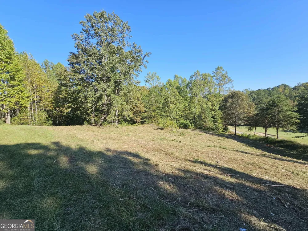 256 Golf Ridge WAY Toccoa, GA 30577