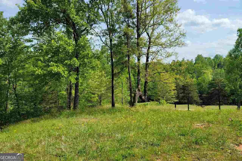 256 Golf Ridge WAY Toccoa, GA 30577