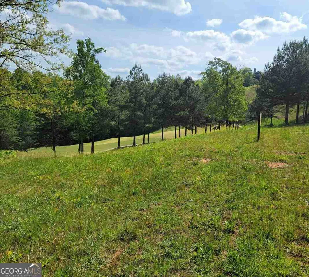 256 Golf Ridge WAY Toccoa, GA 30577
