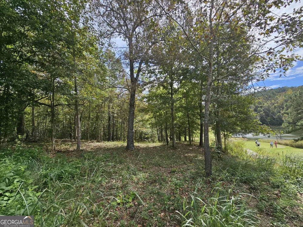 42 Lookout PT Toccoa, GA 30577