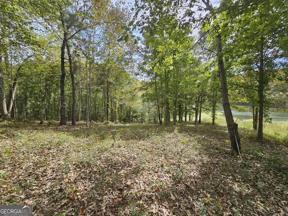 42 Lookout PT Toccoa, GA 30577