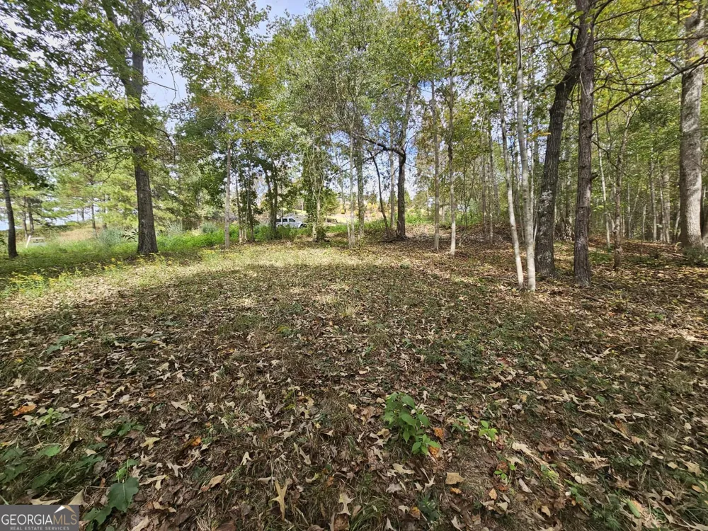 42 Lookout PT Toccoa, GA 30577