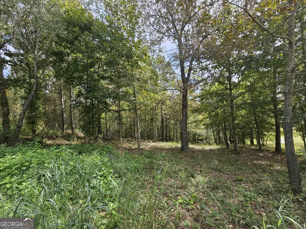 42 Lookout PT Toccoa, GA 30577