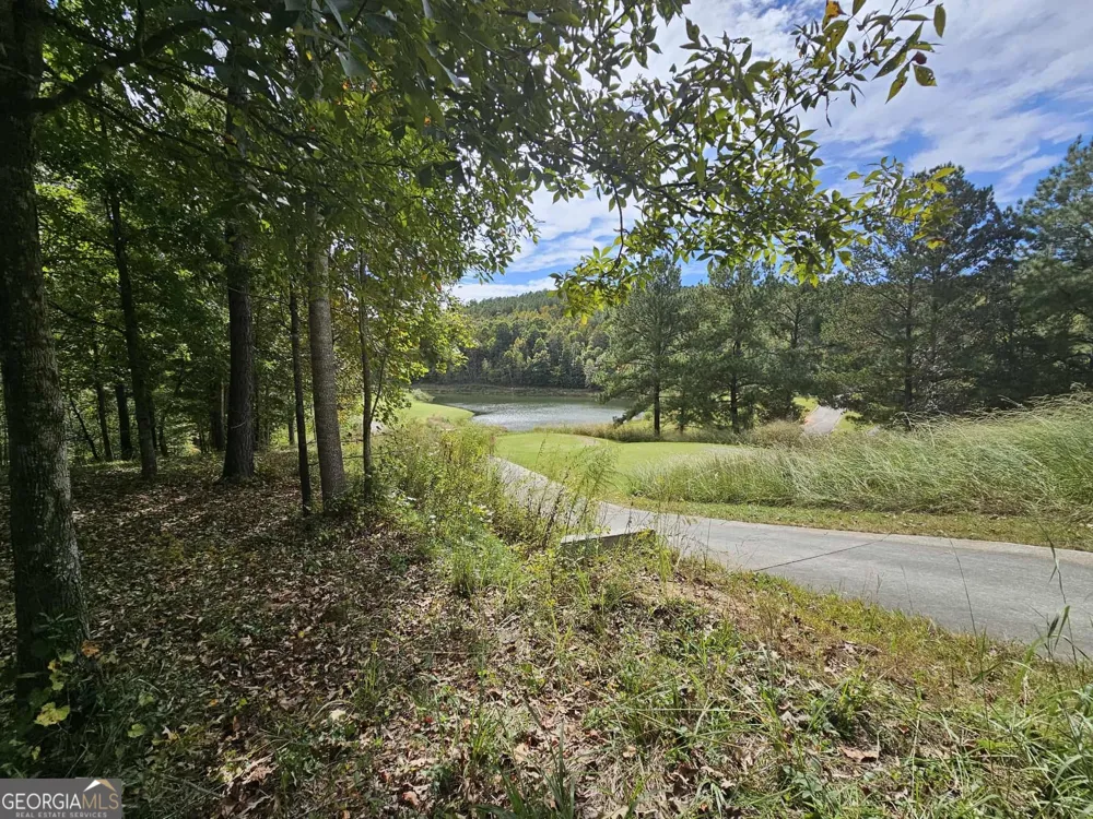 42 Lookout PT Toccoa, GA 30577