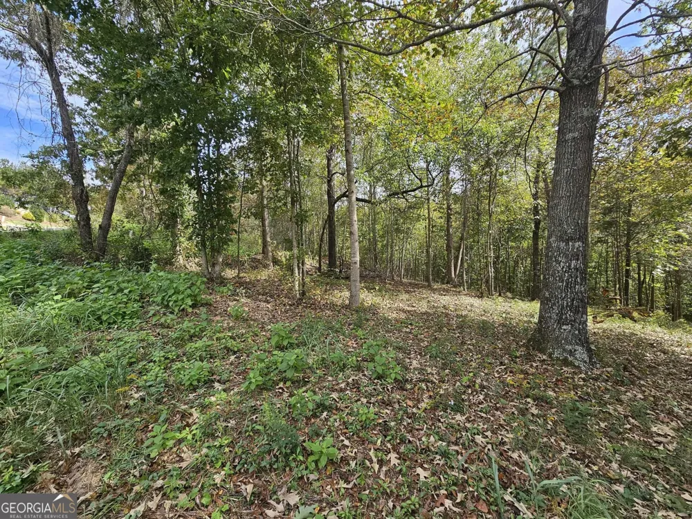 42 Lookout PT Toccoa, GA 30577