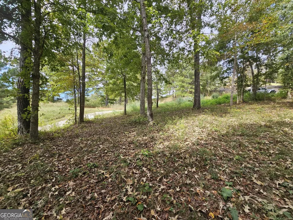 42 Lookout PT Toccoa, GA 30577