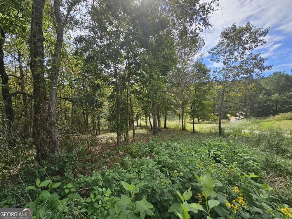 42 Lookout PT Toccoa, GA 30577
