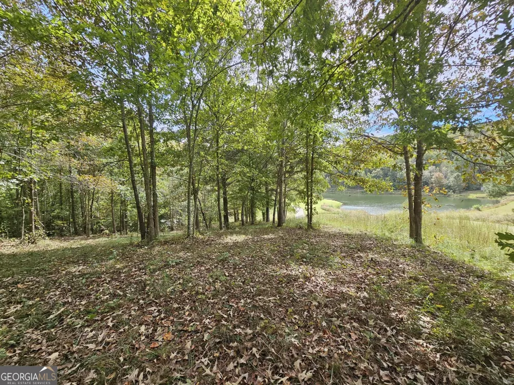 42 Lookout PT Toccoa, GA 30577