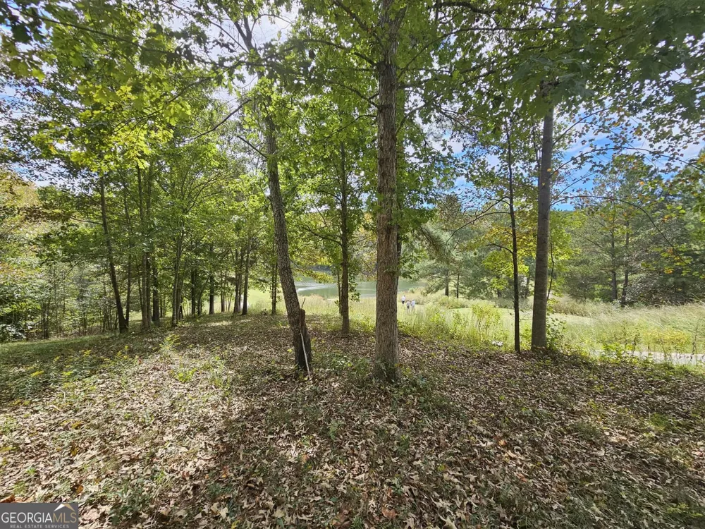 42 Lookout PT Toccoa, GA 30577
