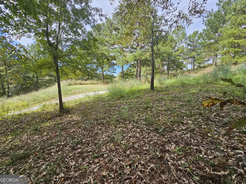 42 Lookout PT Toccoa, GA 30577