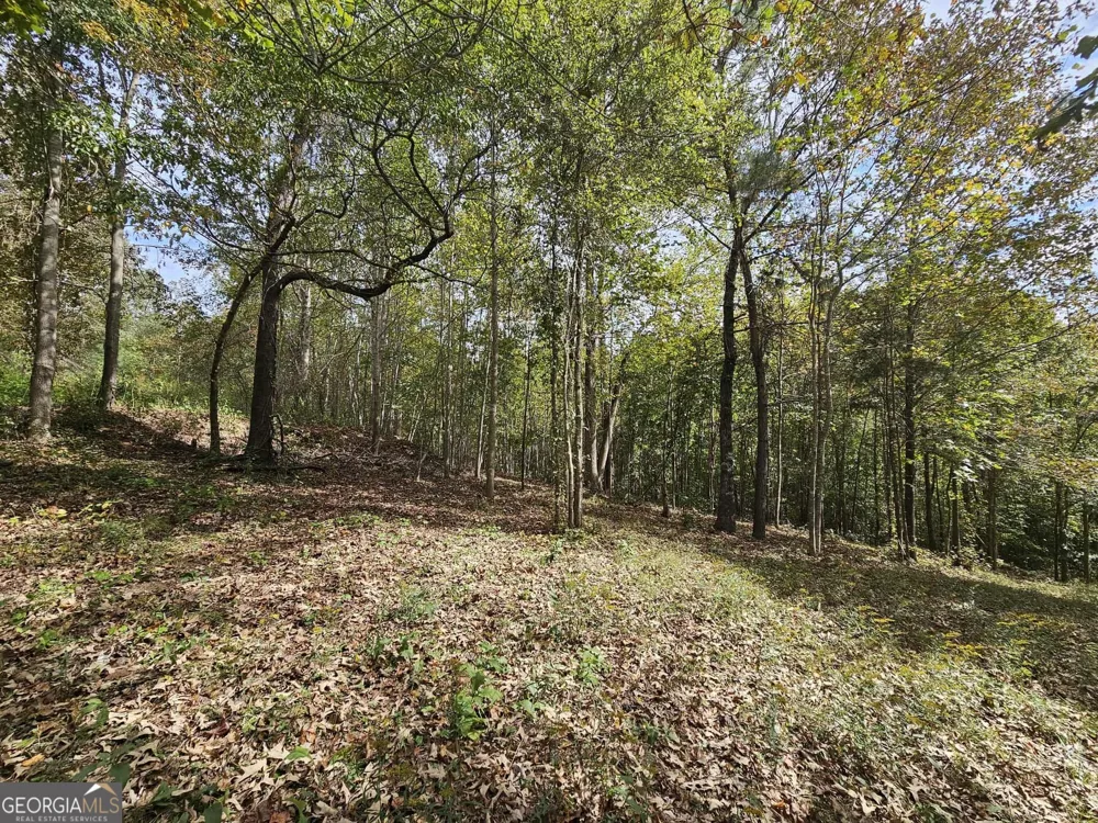 42 Lookout PT Toccoa, GA 30577