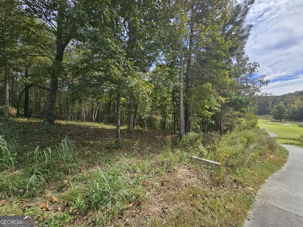 42 Lookout PT Toccoa, GA 30577