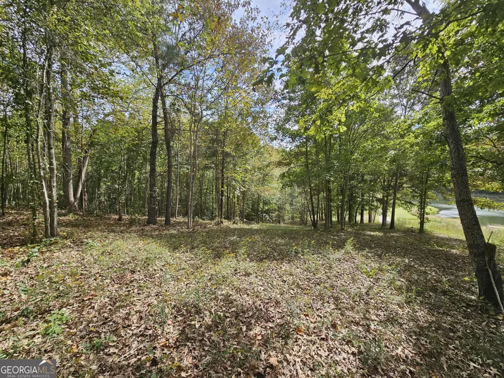 42 Lookout PT Toccoa, GA 30577