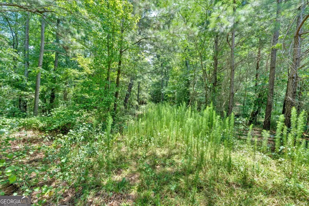 0 Timmons CIR Villa Rica, GA 30180