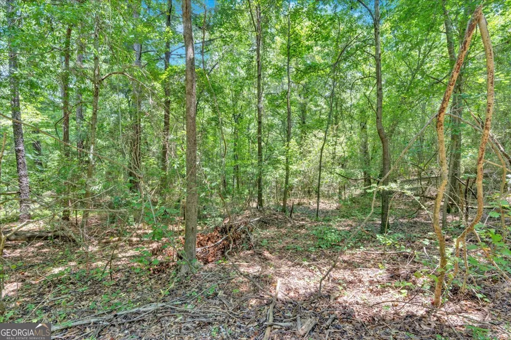 0 Timmons CIR Villa Rica, GA 30180