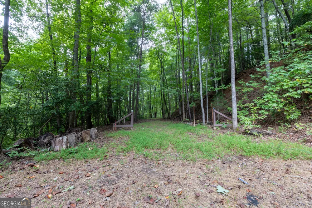 258 Ber Weg Helen, GA 30545