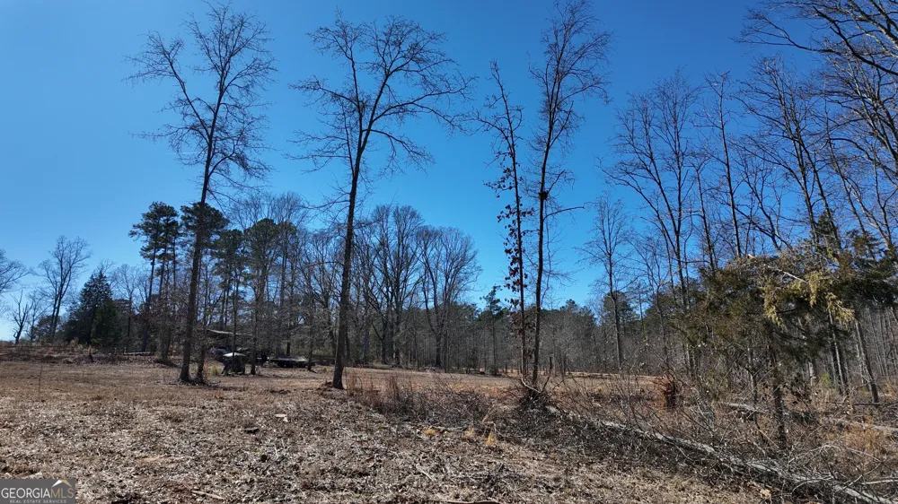 725 Old Jackson RD McDonough, GA 30252
