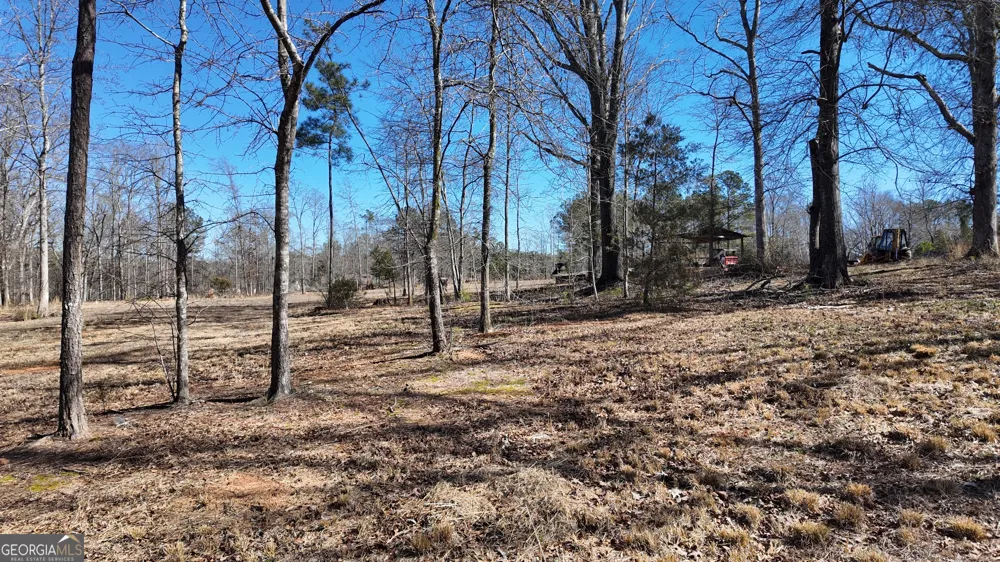 725 Old Jackson RD McDonough, GA 30252