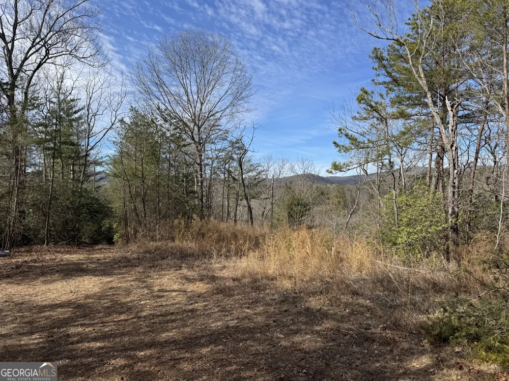 0 Mountain Lion TRL Helen, GA 30545
