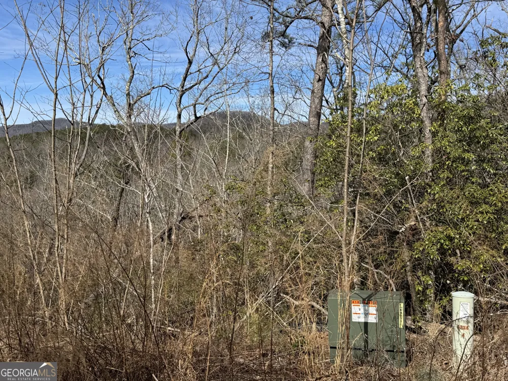 0 Mountain Lion TRL Helen, GA 30545