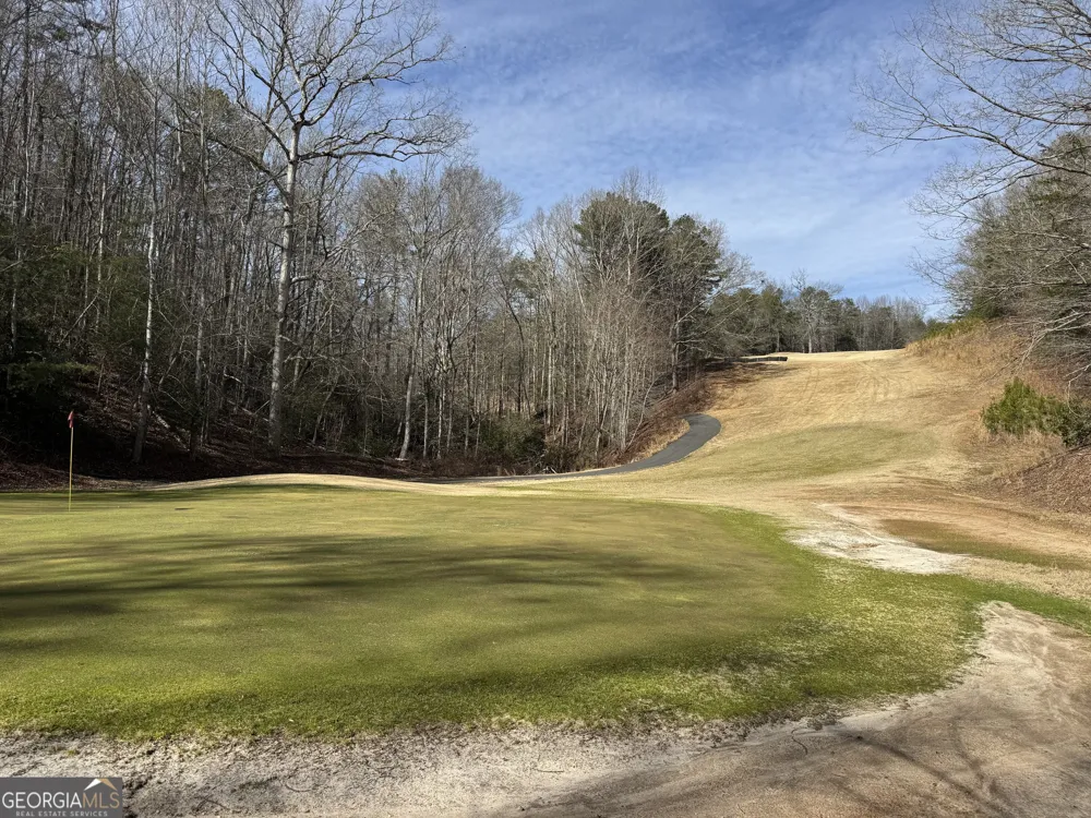 0 Mountain Lion TRL Helen, GA 30545