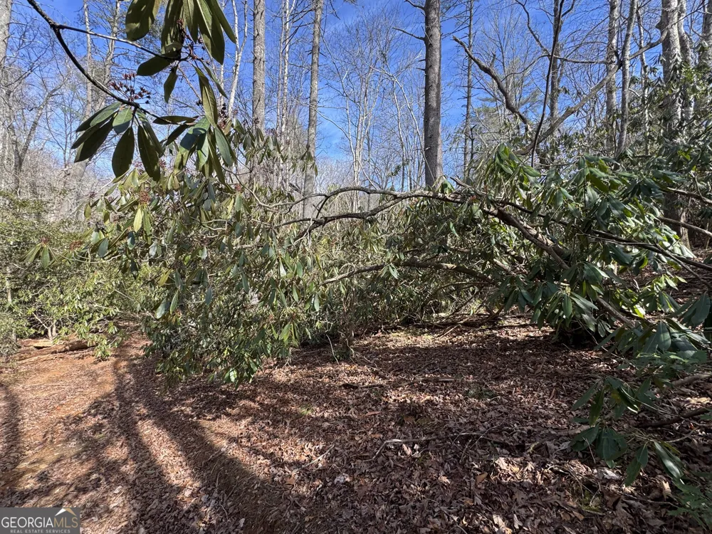 0 Mountain Lion TRL Helen, GA 30545