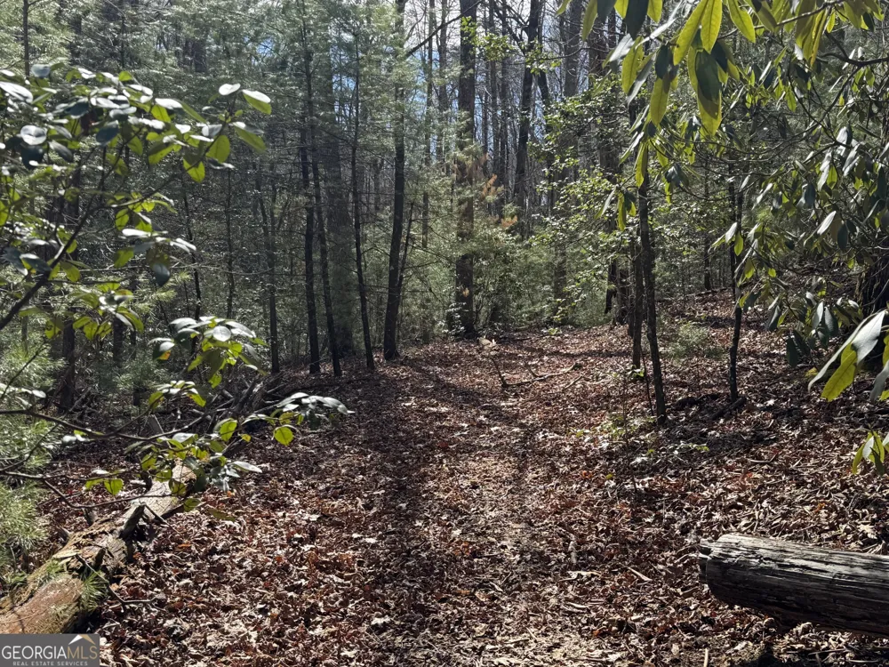 0 Mountain Lion TRL Helen, GA 30545