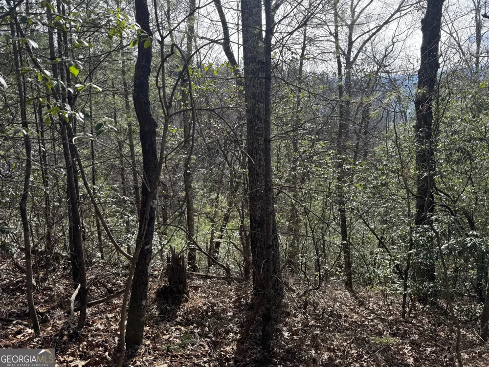 0 Mountain Lion TRL Helen, GA 30545