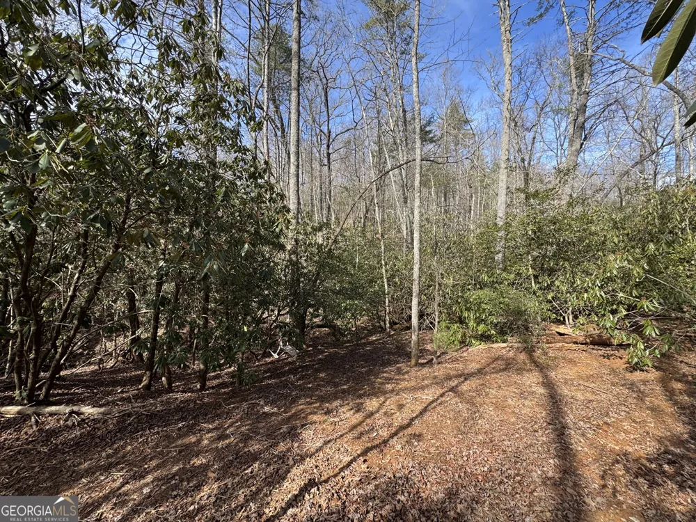 0 Mountain Lion TRL Helen, GA 30545