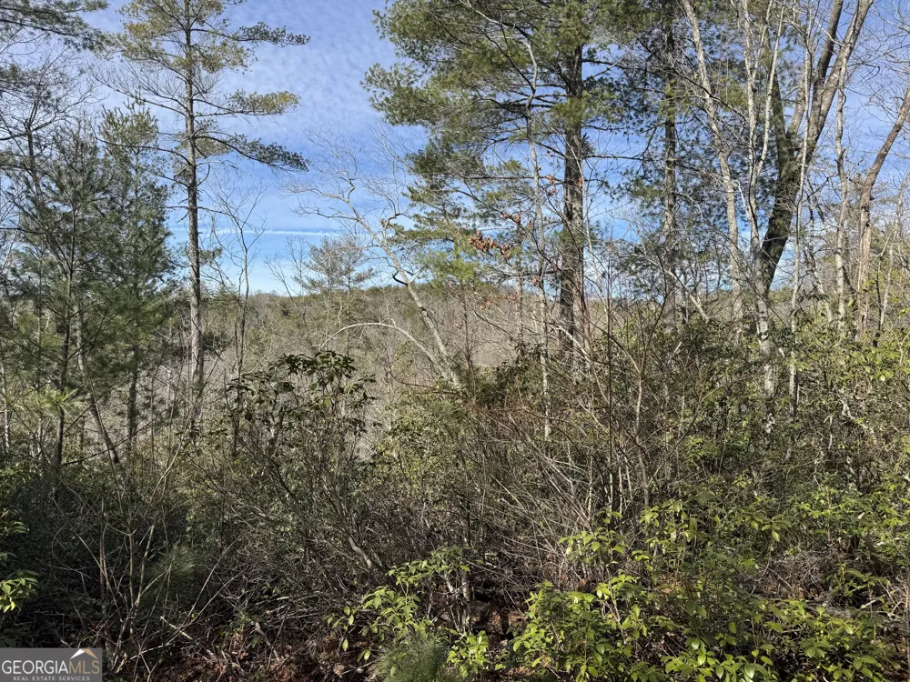 0 Mountain Lion TRL Helen, GA 30545