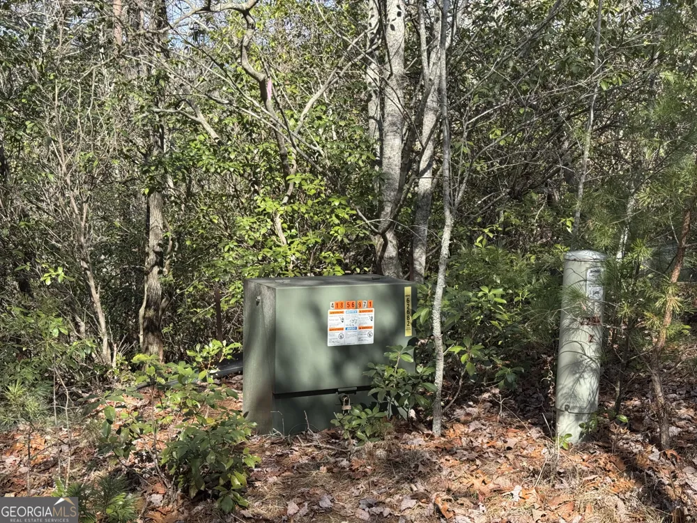 0 Mountain Lion TRL Helen, GA 30545