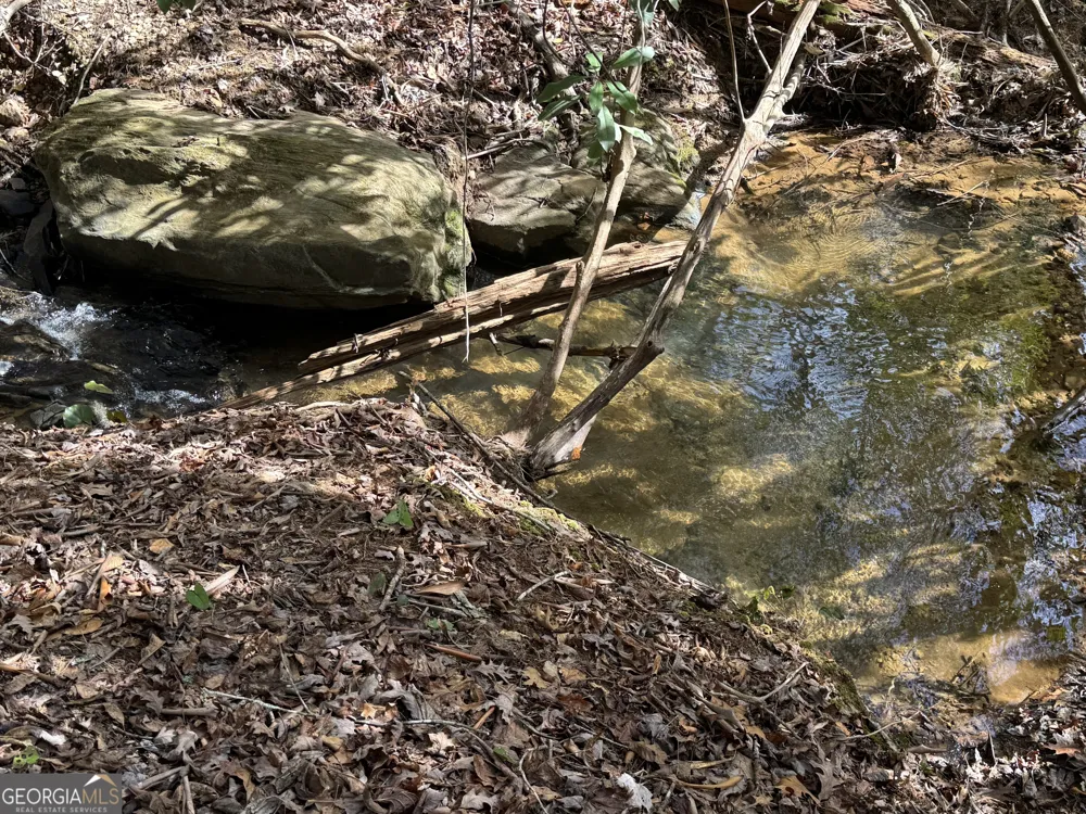 0 Mountain Lion TRL Helen, GA 30545