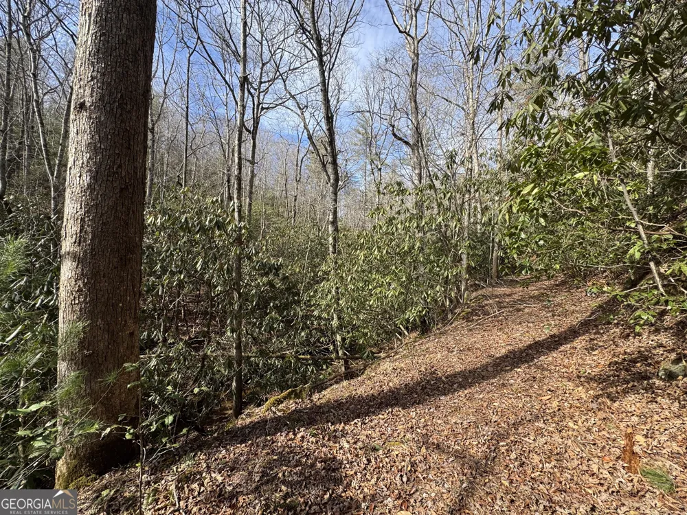 0 Mountain Lion TRL Helen, GA 30545