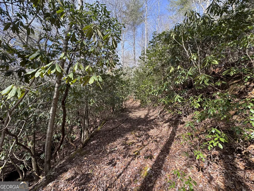 0 Mountain Lion TRL Helen, GA 30545
