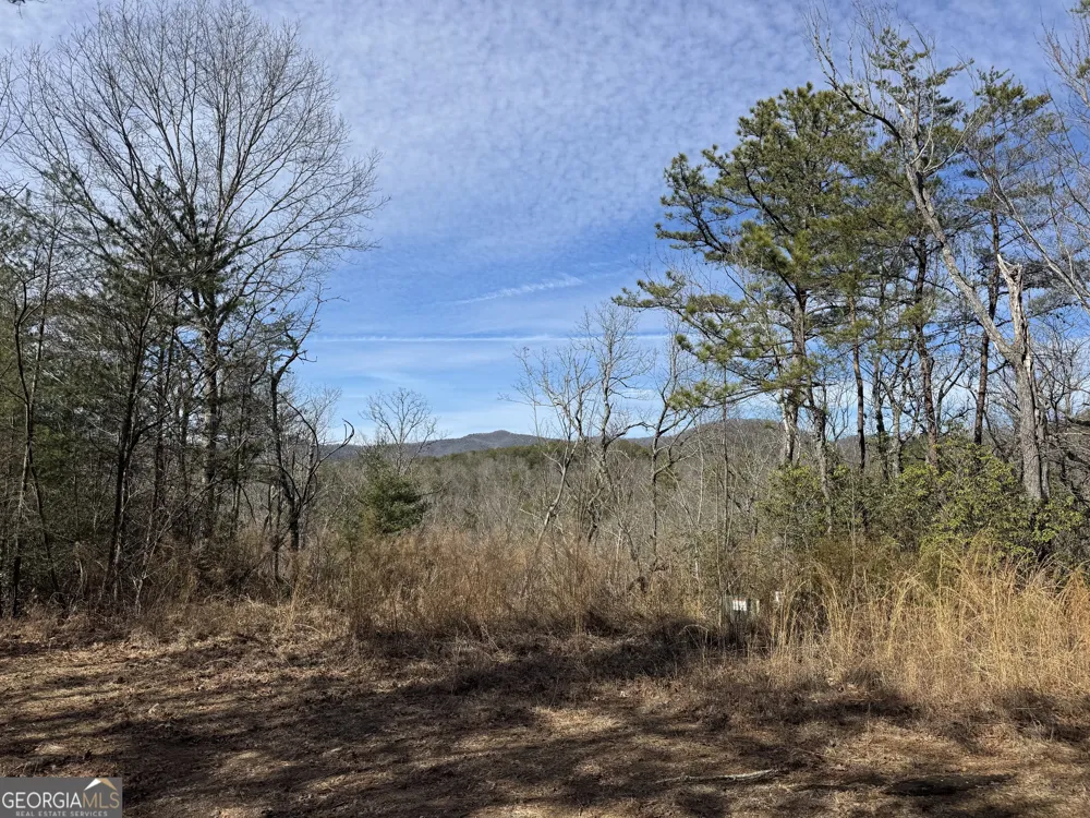 0 Mountain Lion TRL Helen, GA 30545