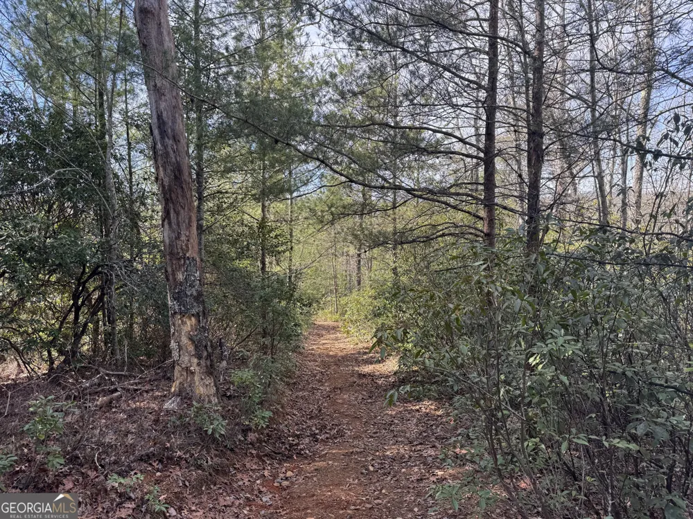 0 Mountain Lion TRL Helen, GA 30545
