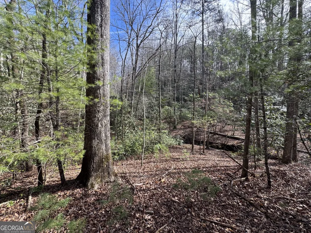 0 Mountain Lion TRL Helen, GA 30545