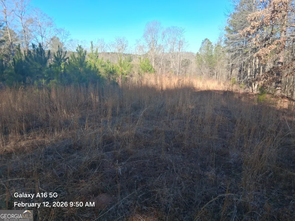 887 Allen Grantville, GA 30220