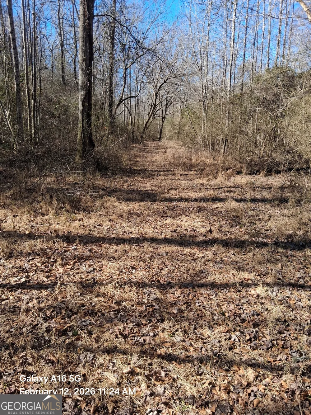887 Allen Grantville, GA 30220