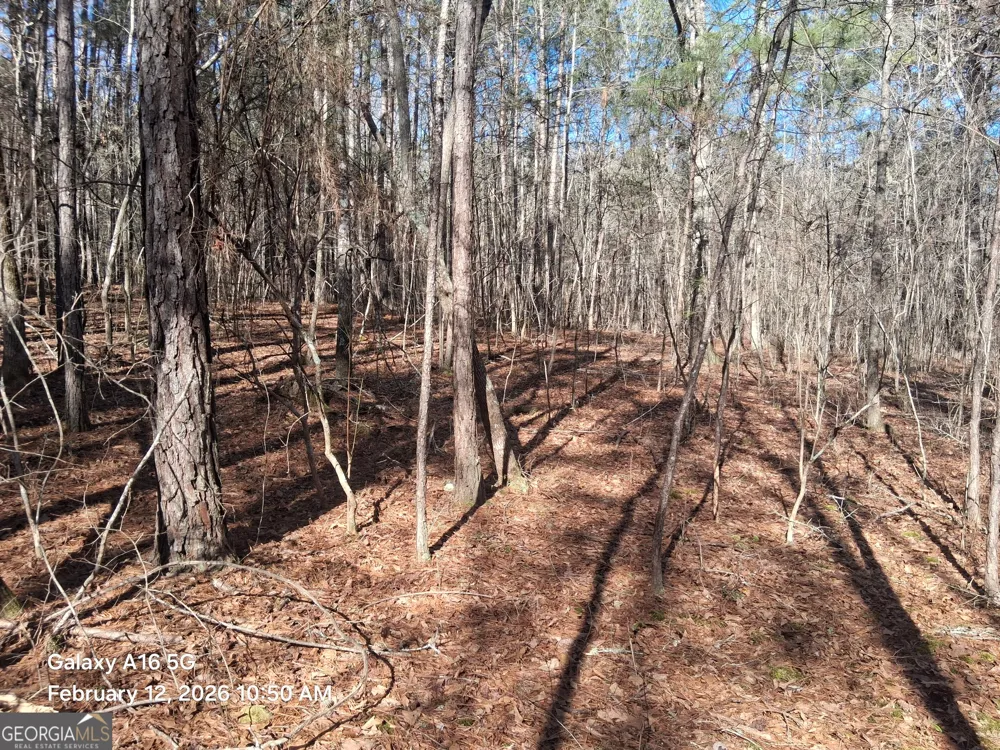 887 Allen Grantville, GA 30220