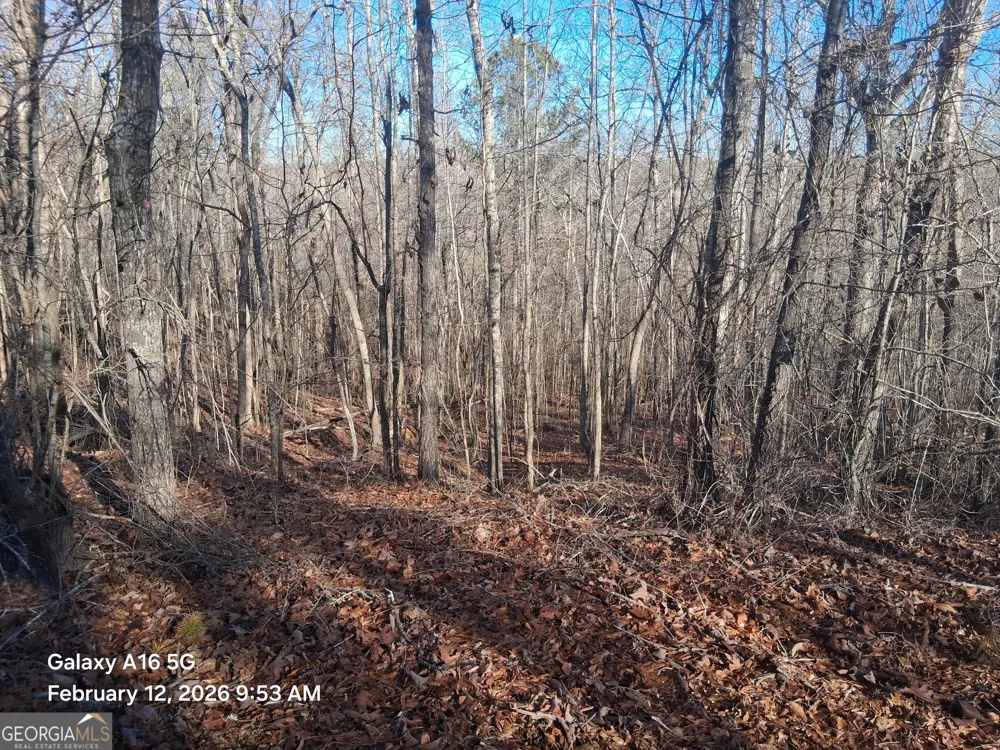 887 Allen Grantville, GA 30220
