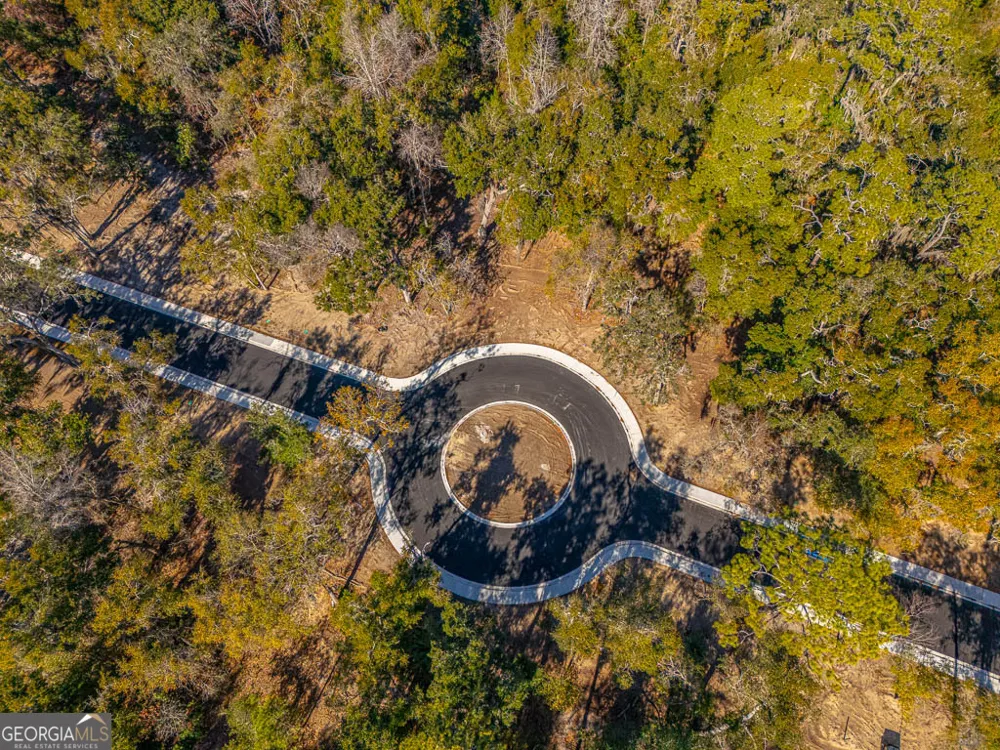 138 Canopy LN St. Simons, GA 31522