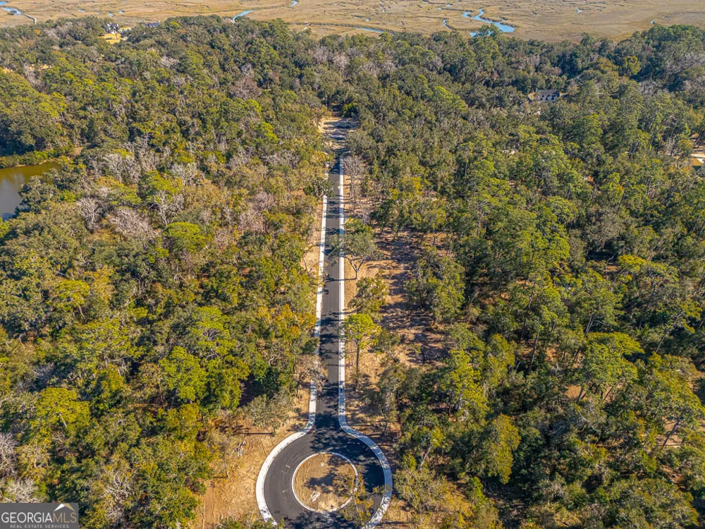 138 Canopy LN St. Simons, GA 31522