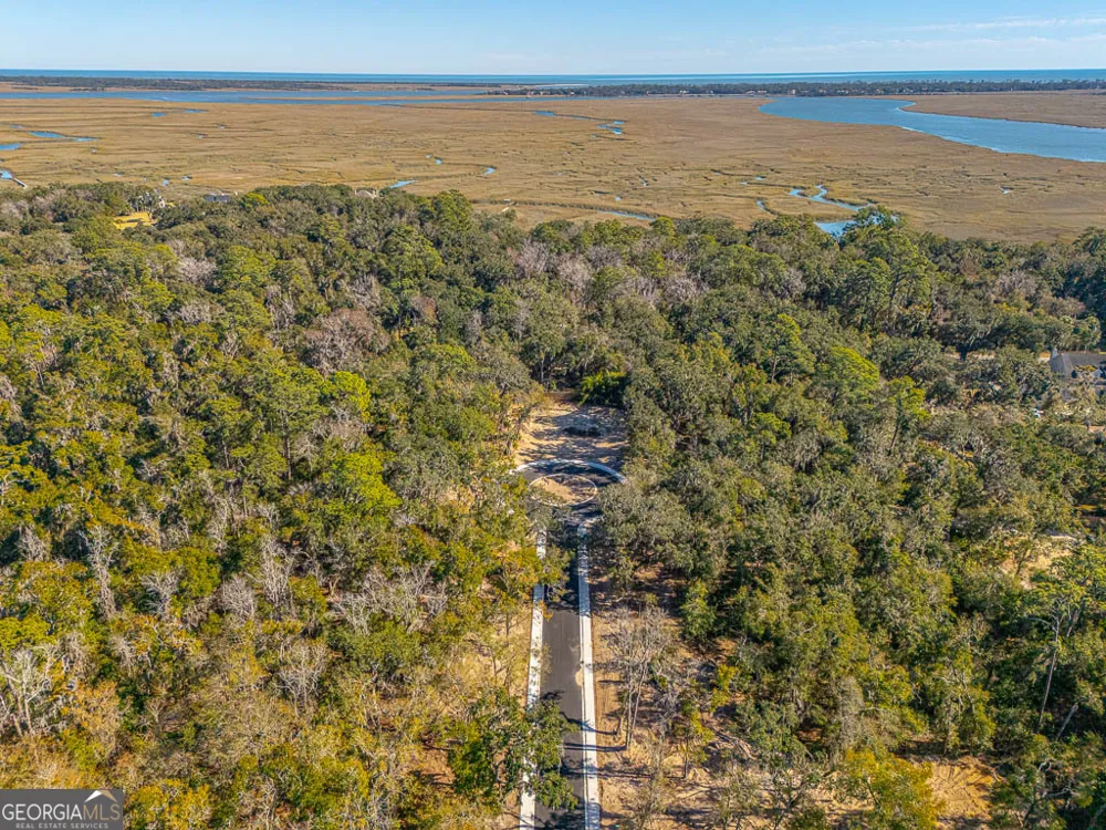 138 Canopy LN St. Simons, GA 31522